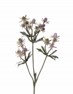 Distel Eryngium tak 65cm